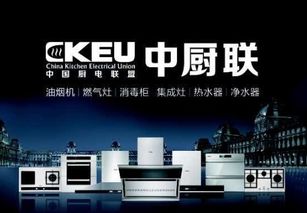 ckeu中廚聯專業提供沒有品牌的廚房電器