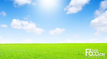 睿容空氣凈化器加盟指南 加盟費、官網、條件流程及政策支持解析